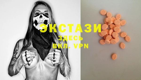 гидра Покачи