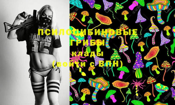 гидропоника Абдулино
