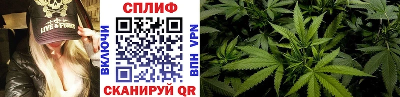 купить Кинешма Канабис семена